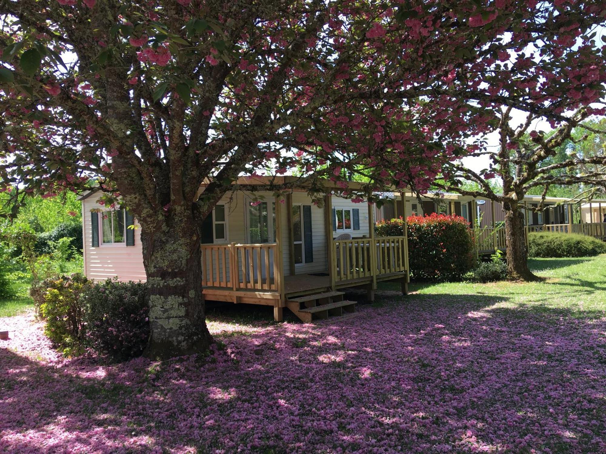 Limeuil Camping La Ferme De Perdigat מראה חיצוני תמונה